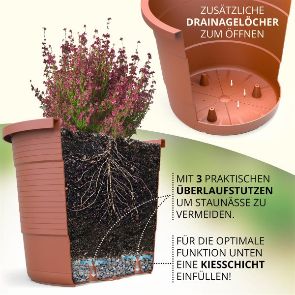 Blumentopf mit Heidekraut, Erdschnitt, Drainagelöchern und Überlaufstutzen zur Vermeidung von Staunässe