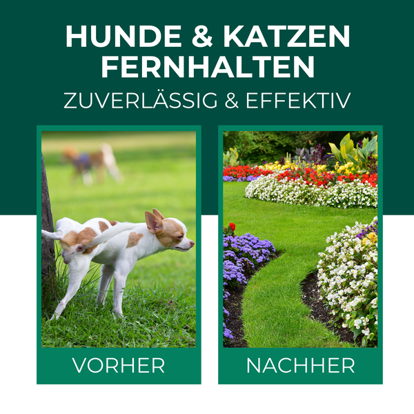 Silberkraft Hunde und Katzen EX Granulat 200g, Hund & Katze von deinem Grundstück fernhalten, Hundeabwehr & Katzenvertreiber, Alternative zu Sprays, Gittern oder Ultraschallgeräten