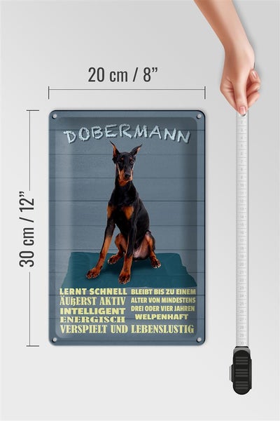 Blechschild Spruch 20x30cm Dobermann lernt schnell Hund