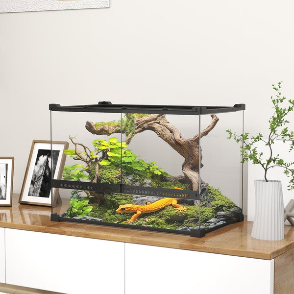 Terrarium mit Innenausstattung und Leopardgecko auf einem Schrank