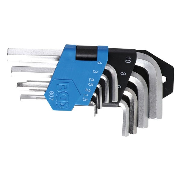 Nahaufnahme einer Gruppe lila Herbstastern mit gelben Zentren