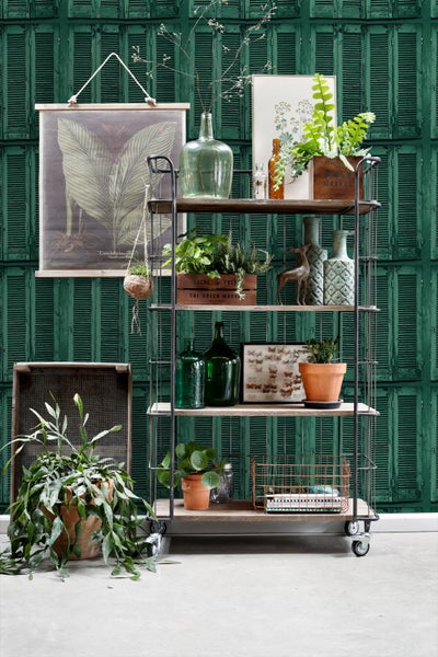 Dekorative Regalkonstruktion mit Pflanzen, Vasen und Dekorationsgegenständen vor einer grünen Wand