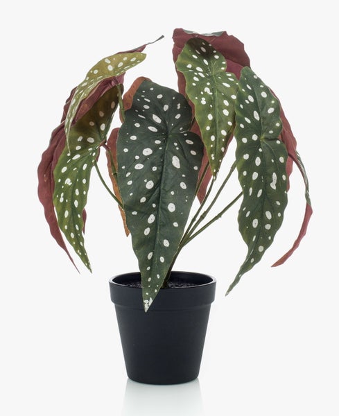 Künstliche Monstera Pflanze mit großen, charakteristisch geschlitzten grünen Blättern.