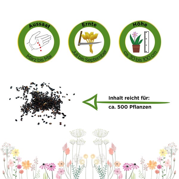Informationen zur Aussaat von März bis Mai, Ernte von Juli bis September und einer Wuchshöhe von circa 30 bis 100 Zentimetern. Inhalt ausreichend für circa 500 Pflanzen.