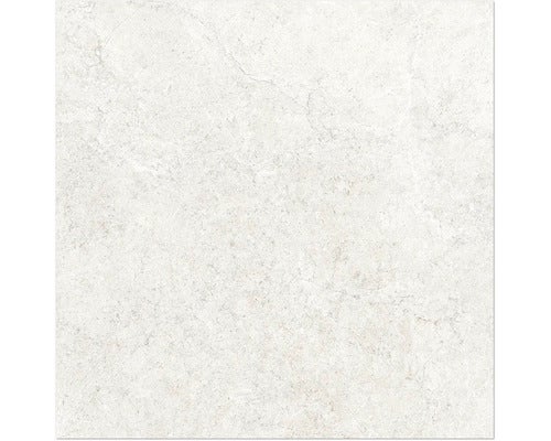 Wand- und Bodenfliese Jurassic avorio 60x60 cm
