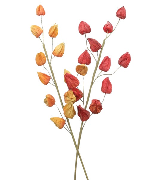 Künstlicher Lampionblumen Zweig als Dekoration