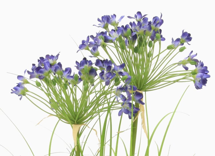 Künstliches Gras, Dekopflanze mit grünen Halmen in verschiedenen Längen.