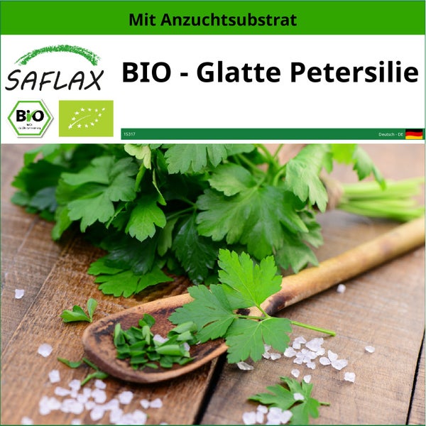 SAFLAX  - BIO - Glatte Petersilie - Petroselinum crispum - 600 Samen - Mit keimfreiem Anzuchtsubstrat