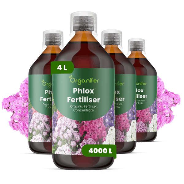 Organifer Phlox Dünger, organisches Düngerkonzentrat, 4 Liter Set ausreichend für 4000 Liter Gießwasser.