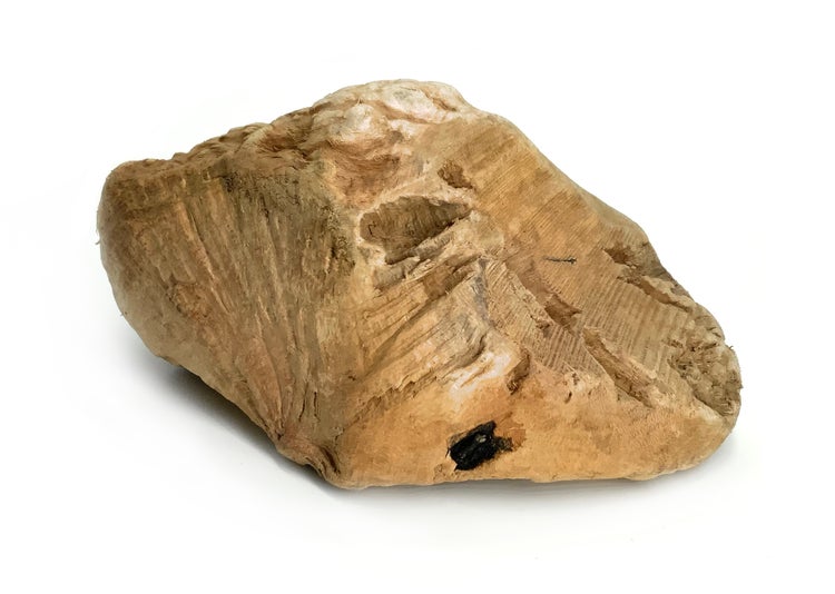 Naturholz-Wurzel für Aquarium und Terrarium mit strukturierter Oberfläche und unregelmäßiger Form.