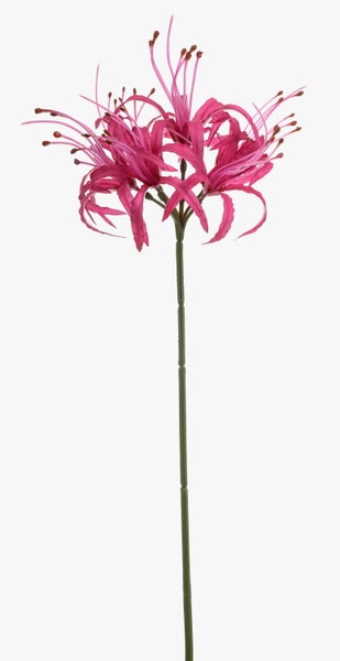 Künstliche Nerine mit pinkfarbenen Blüten und einem langen grünen Stiel.
