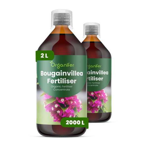 Zwei Flaschen Organifer Bougainvillea-Dünger, 2 Liter, organisches Flüssigdünger-Konzentrat für Bougainvillea-Pflanzen.