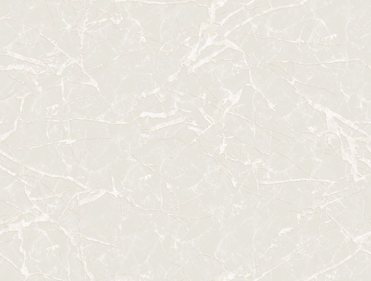 Bremsenentlüftergerät mit Zubehör