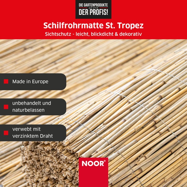 Schilfrohrmatte ST. TROPEZ - Naturprodukt - In- und Outdoor Sichtschutz - 100x600 cm - Blickschutz und Dekorationselement in Einem