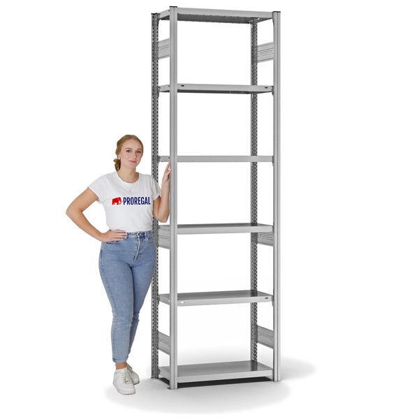 PROREGAL Fachbodenregal Stecksystem T-Profil Heavy-Duty Grundregal HxBxT 250 x 75 x 30 cm 6 Ebenen Fachlast 300 kg Beidseitig Nutzbar Verzinkt