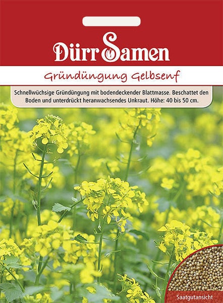 Samentüte Dürr Samen Gründüngung Gelbsenf mit blühenden Pflanzen und Detailansicht der Samen.