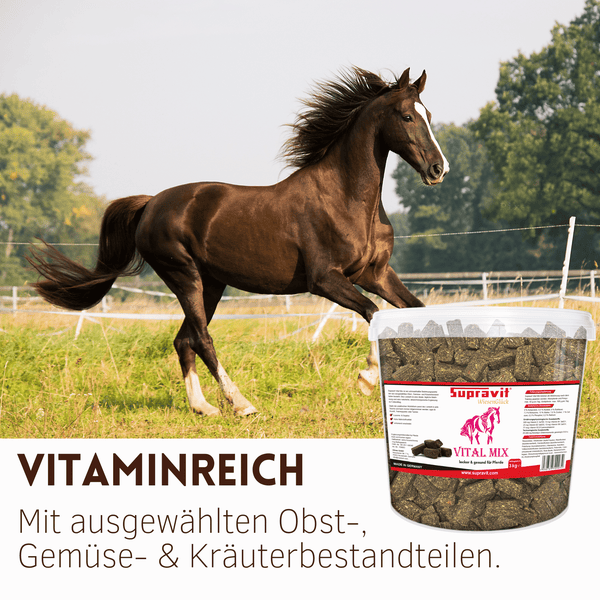 Pferdefuttereimer Supravit Vital Mix mit Obst Gemüse und Kräutern für Pferde auf einer Weide mit laufendem Pferd im Hintergrund