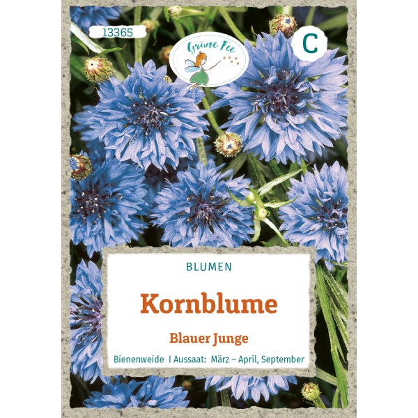 Kornblume Blauer Junge Samen von Grüne Fee