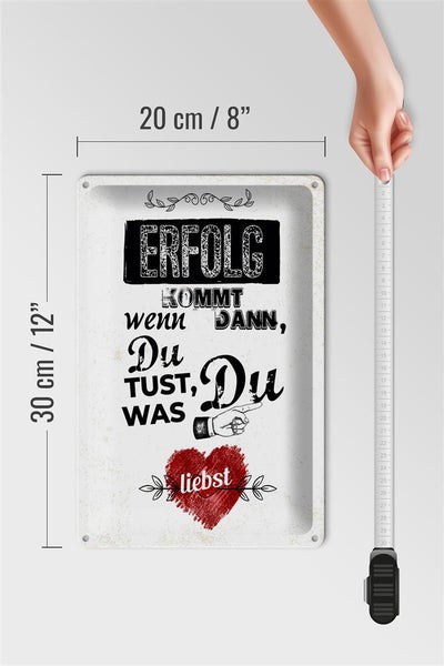 Blechschild Spruch Erfolg dann du tust was du liebst 20x30cm