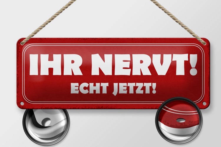 Blechschild Spruch 27x10cm ihr nervt echt jetzt Dekoration