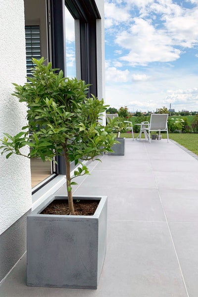 Moderne Terrasse mit hellgrauen Fliesen, einem Pflanzkübel in Betonoptik mit kleinem Baum im Vordergrund und Sitzgruppe im Hintergrund.
