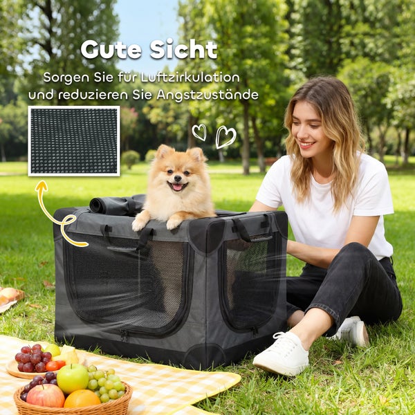 Faltbare Hundetransportbox mit großen Netzfenstern für gute Sicht und Luftzirkulation, ein Hund blickt heraus.