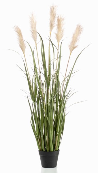 Nahaufnahme von künstlichem Ziergras mit langen grünen Halmen und Stängeln.