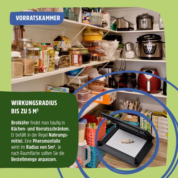 Brotkäferfalle giftfreie Pheromonfalle
