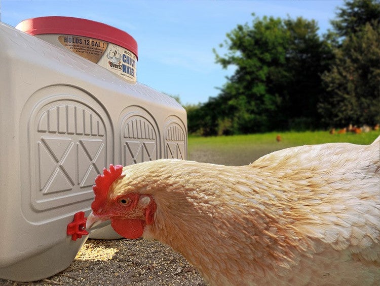 Tränkeautomat OverEZ Chicken Coops 45 liter