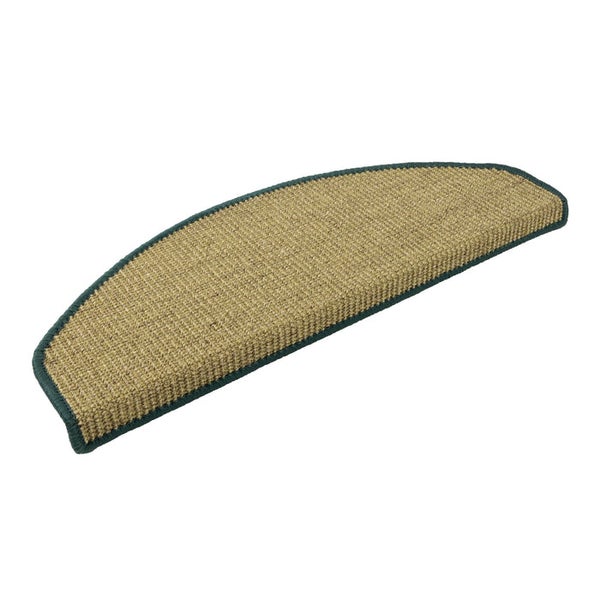 Immergrüner Spindelstrauch im Garten