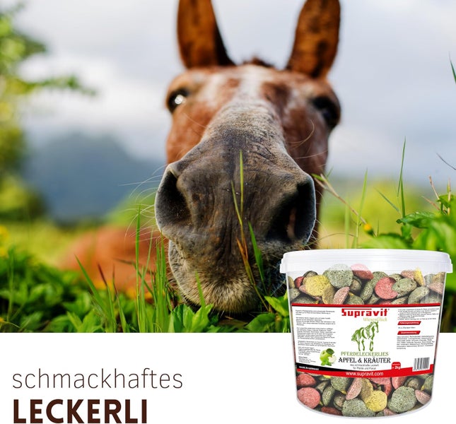 Supravit Pferdeleckerlies Apfel und Kräuter mit Pferd im Hintergrund