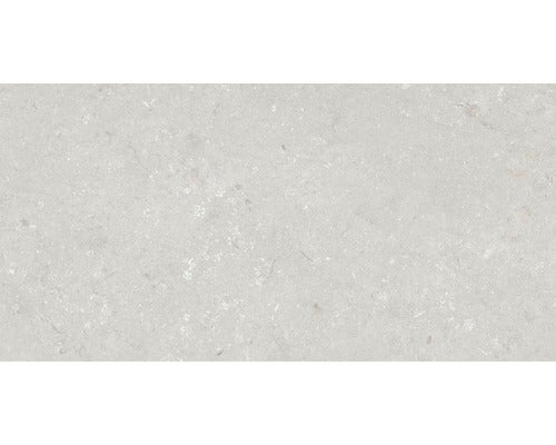 Wand- und Bodenfliese Shellstone bianco 60x120cm