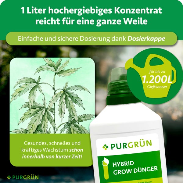 Purgrün Hybrid Grow Dünger, 1 Liter hochergiebiges Konzentrat für bis zu 1200 Liter Gießwasser, mit Dosierkappe und Pflanzenillustration.