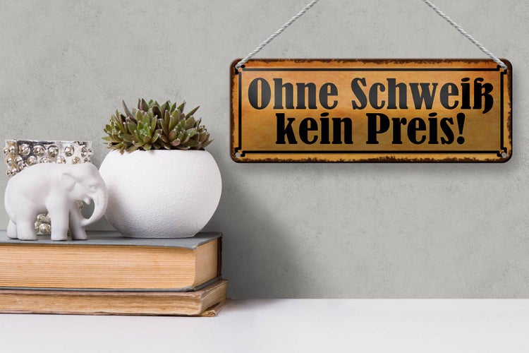 Blechschild Spruch 27x10cm ohne Schweiß kein Preis Dekoration