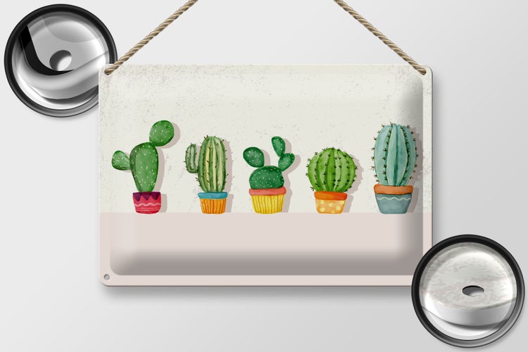 Blechschild Spruch 5 Kakteen Blumentopf Kaktus 30x20cm