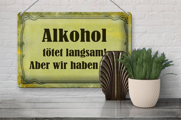 Blechschild Spruch 30x20cm Alkohol tötet langsam aber wir