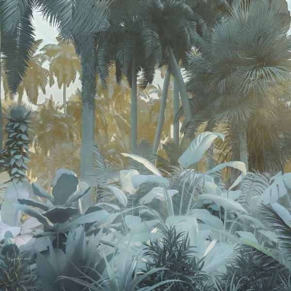 Dschungel Tapete mit Palmen und tropischen Pflanzen