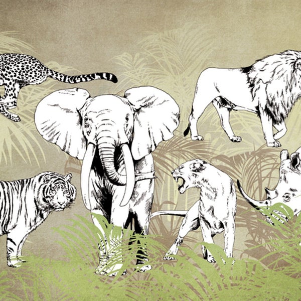 Tapete mit Tiermotiven: Leopard, Elefant, Tiger, Löwe und Nashorn vor Dschungelhintergrund