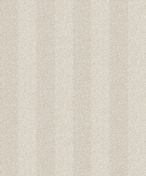 Graue Lagerbox mit den Maßen 60 x 40 x 12 cm und einem Fassungsvermögen von 23 Litern