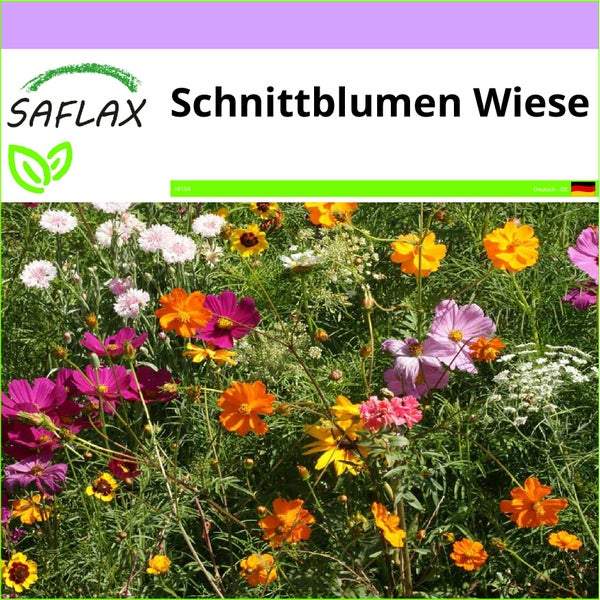 SAFLAX  - Schnittblumen Wiese - Mix - 1000 Samen