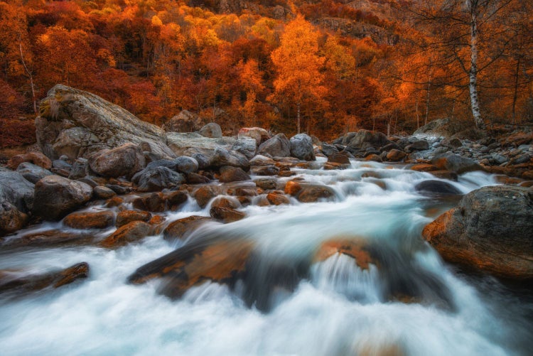 Flusslandschaft mit Felsen und Herbstlaub