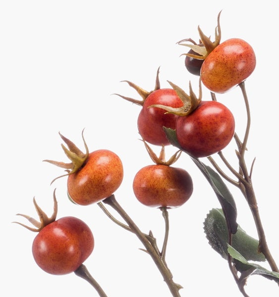 Nahaufnahme eines Blattes einer künstlichen Hortensie mit Stängel und Blüten.