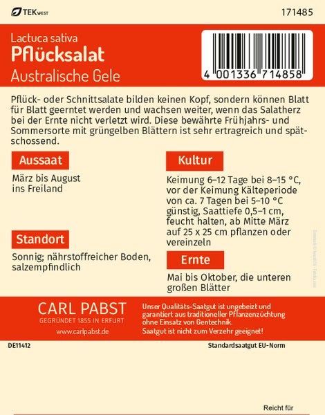 Pflücksalat spätschossend & ertragreich Australische Gele Samen von Pabst Keimkraft