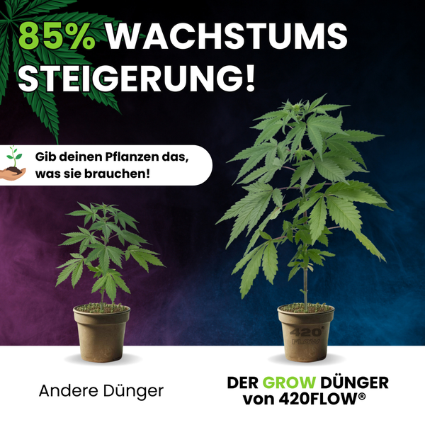 Vergleichsbild zeigt die Wirkung von 420FLOW Pflanzendünger mit einer Pflanze ohne und mit Düngeranwendung für gesteigertes Wachstum.