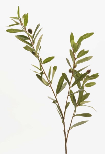 Künstlicher Olivenzweig mit grünen Blättern und kleinen Oliven.