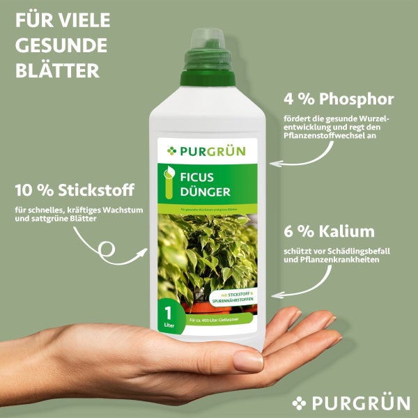 Purgrün Ficus-Dünger 1 Liter