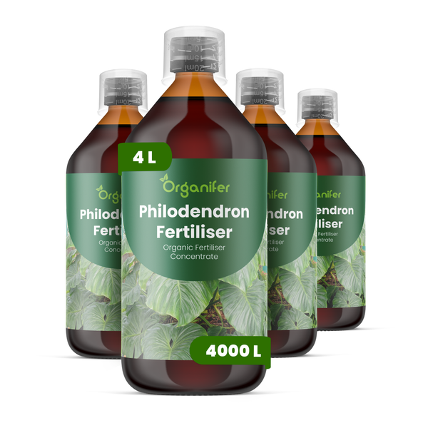 Organifer Philodendron Dünger, 4 Liter organisches Düngerkonzentrat, Set aus vier Flaschen.