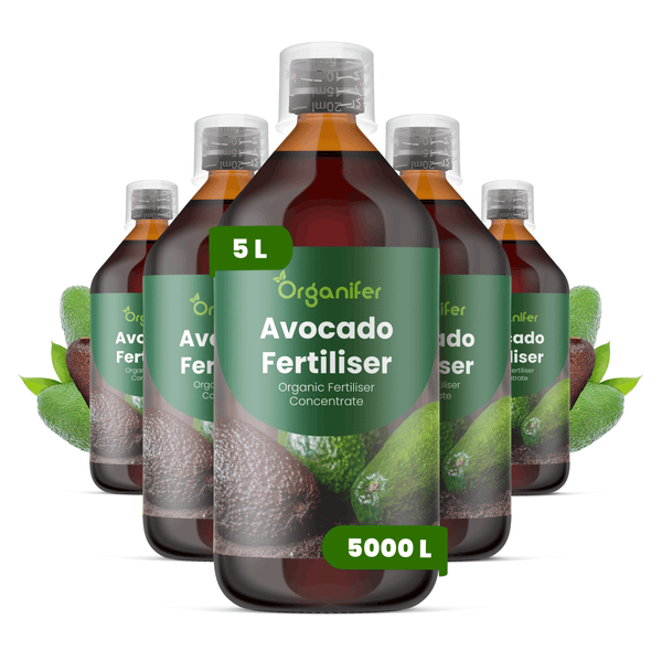 Organifer Avocado Dünger, organisches Düngerkonzentrat, 5 Liter, Flaschen mit Messkappe und Avocado-Abbildung.