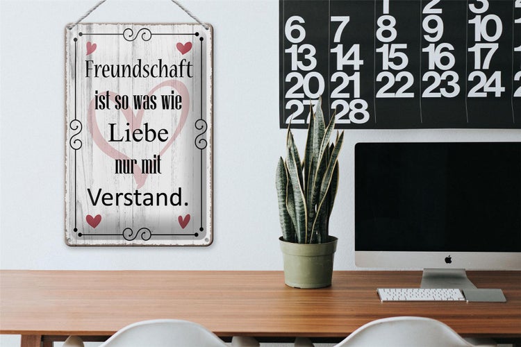 Blechschild Spruch 20x30cm Freundschaft ist so wie Liebe