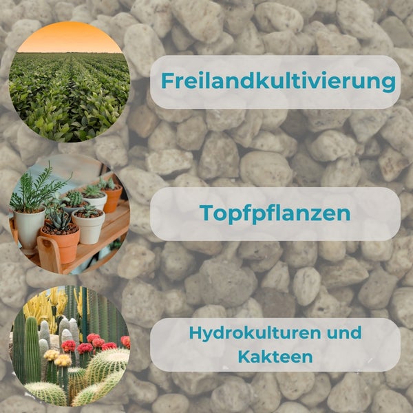 Anwendungsbereiche von Blähton: Freilandkultivierung, Topfpflanzen und Hydrokulturen mit Kakteen.